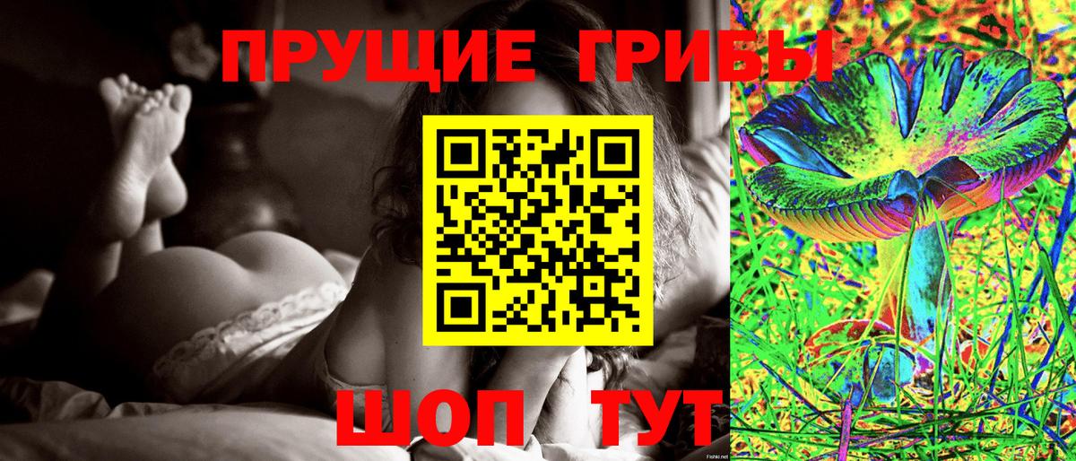Галлюциногенные грибы ЛСД Владикавказ
